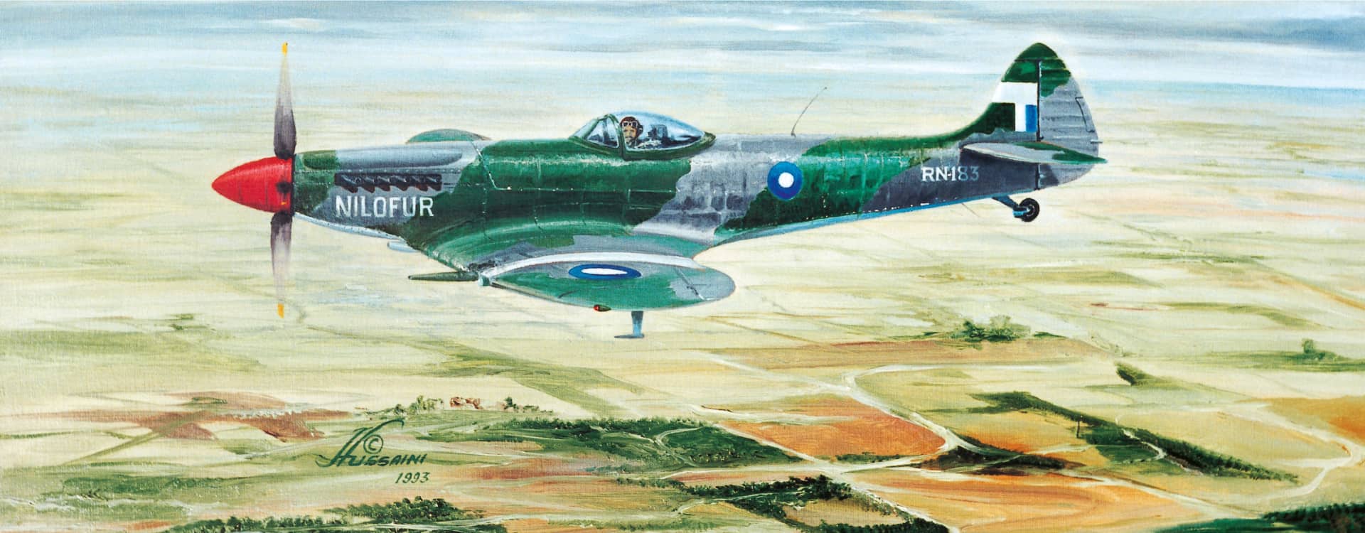 Zafar Chaudhry and Nilofur