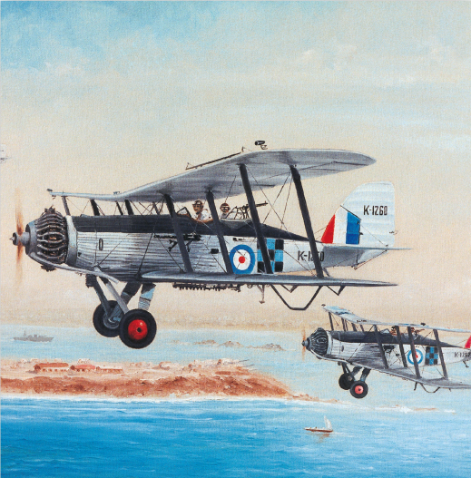 Infancy to Independence