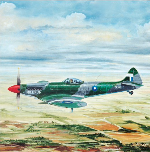 Zafar Chaudhry and Nilofur